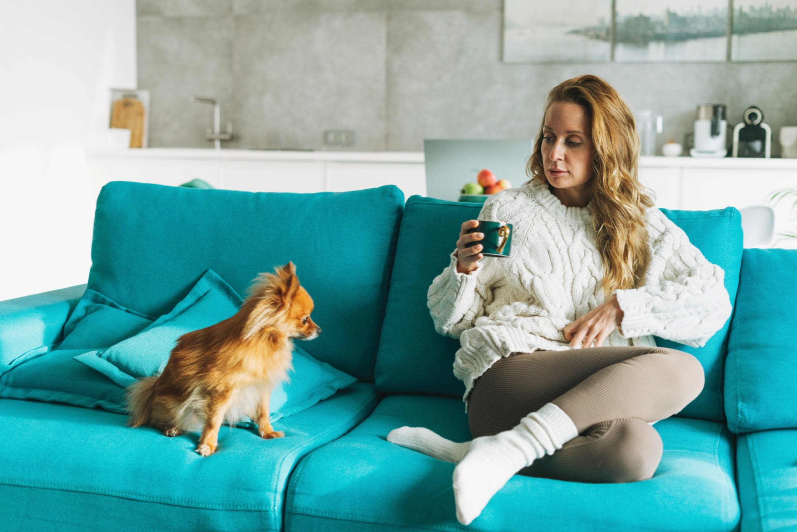 Koltuk Yıkama 1 İstanbul Avrupa Yakası Koltuk Yıkama